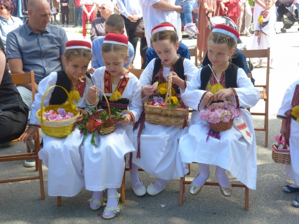 KOROSONTE U ČILIPIMA